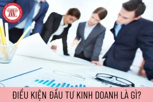 dau tu kinh doanh